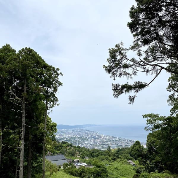 相模湾と小田原の街並み