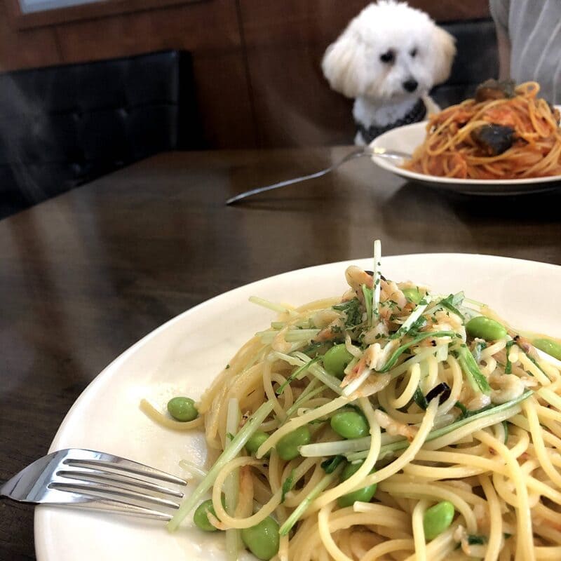 Cafe&Diner Belice パスタセット