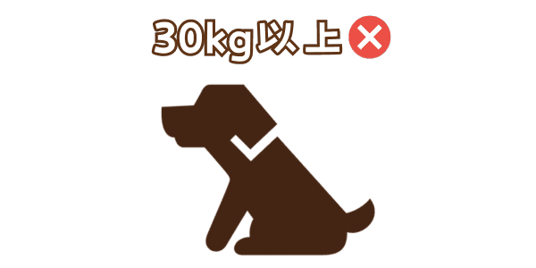 30kg以上NG