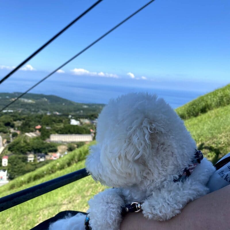 大室山登山リフト