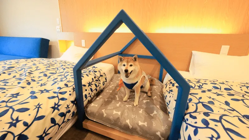 ゆるり西伊豆