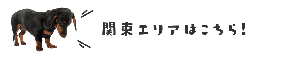 関東エリア　ドッグイベント