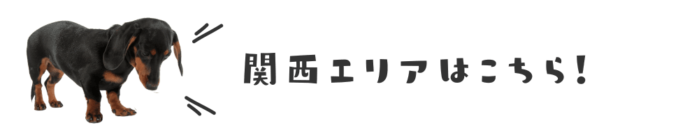 関西エリア　ドッグイベント