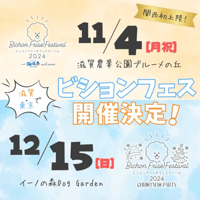 ビションフリーゼフェスティバル 2024 クリパ