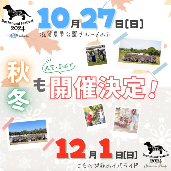 ダックスフントフェスティバル 2024 クリパ