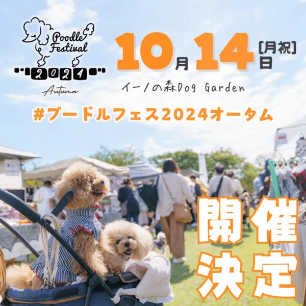 プードルフェスティバル 2024 Autumn