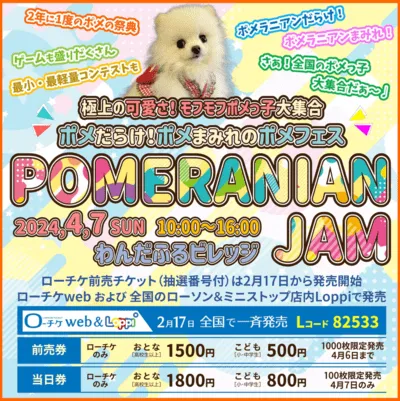 ポメラニアンJAM