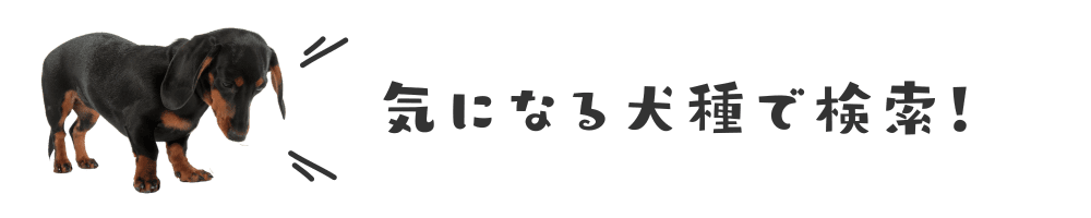 気になる犬種で検索