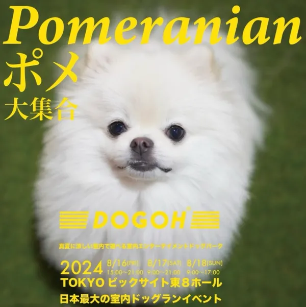 DOGOH INDOOR DOGPARK TOKYO
