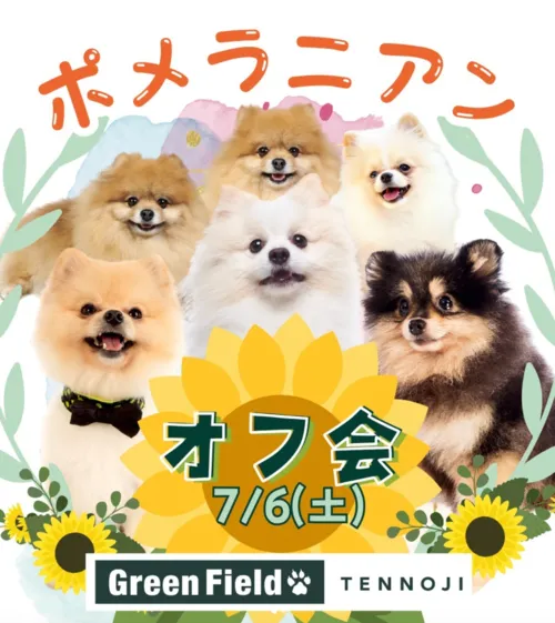 ポメラニアンオフ会