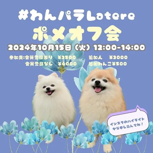 わんパラLatere ポメオフ会
