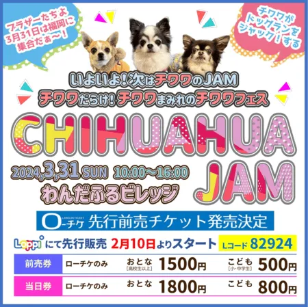 CHIHUAHUA JAM