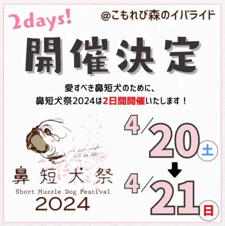 鼻短犬祭 2024