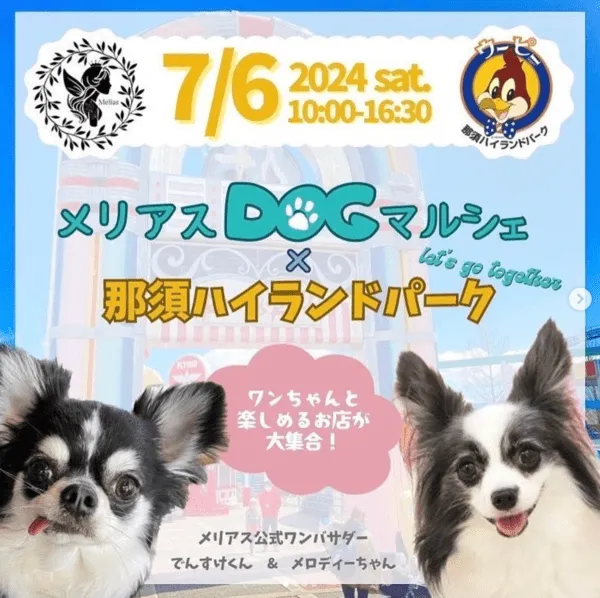 メリアスDOGマルシェin那須ハイランドパーク
