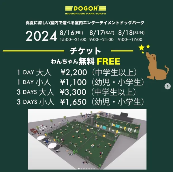 DOGOH INDOOR DOGPARK TOKYO