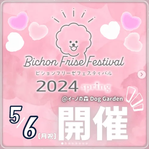 ビションフリーゼフェスティバル2024 Spring