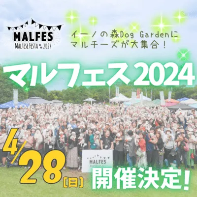 マルフェス 2024