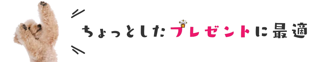 ちょっとしたプレゼントに最適