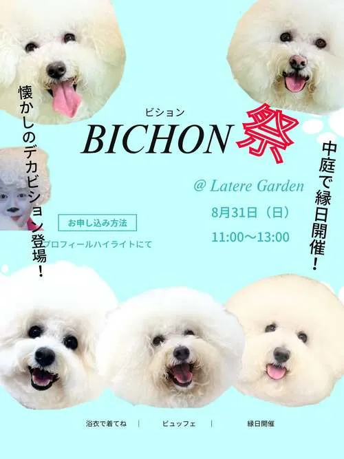 BICHON祭