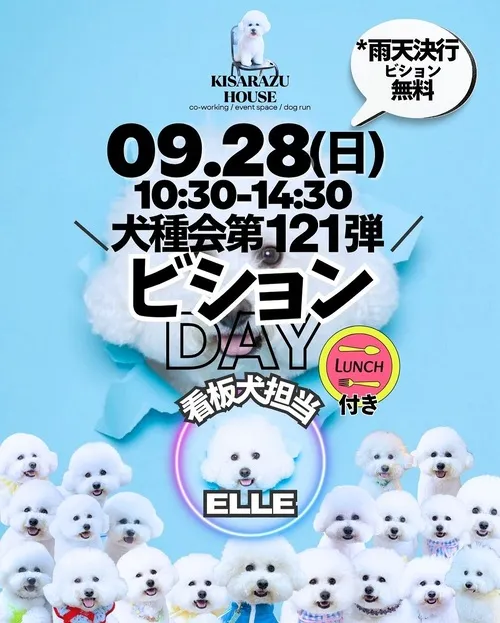 ビションDAY