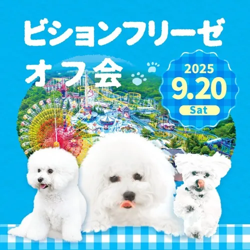 ビションフリーゼオフ会