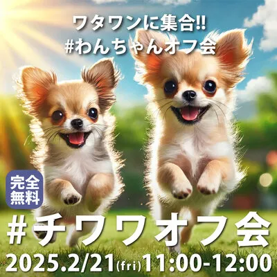 #チワワオフ会