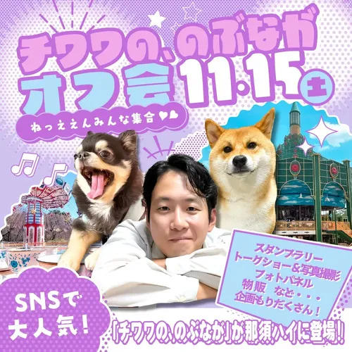 チワワの、のぶながオフ会