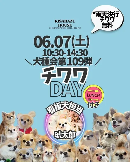 チワワDAY
