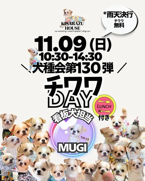 チワワDAY