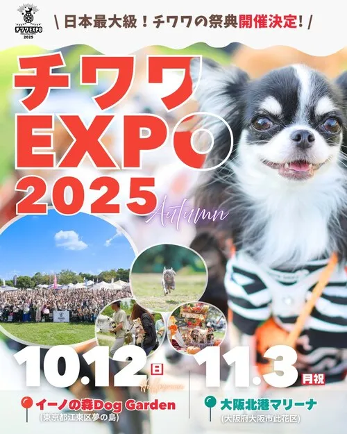 チワワEXPO 2025 HALLOWEN