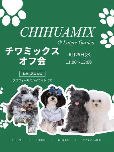 チワミックスオフ会