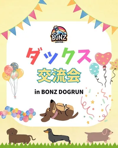 ダックス交流会