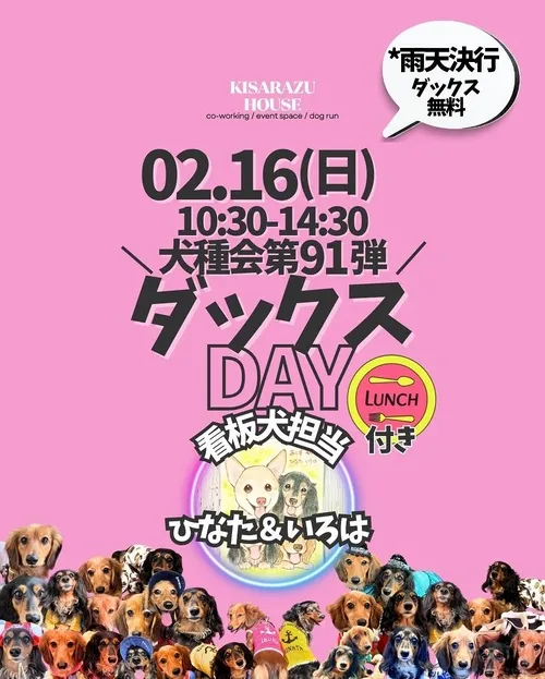 ダックスDAY