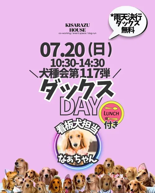 ダックスDAY
