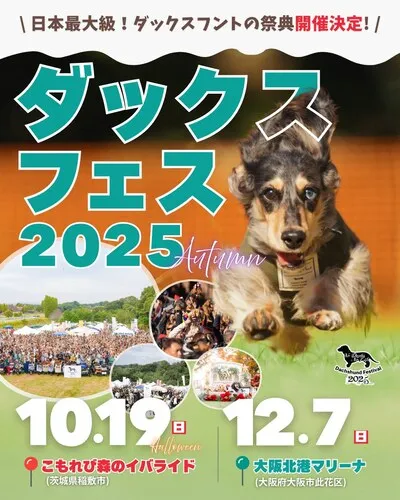 ダックスフントフェスティバル 2025 HALLOWEEN