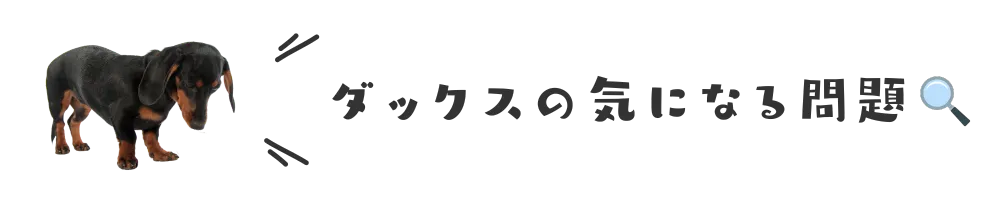 ダックスの気になる問題