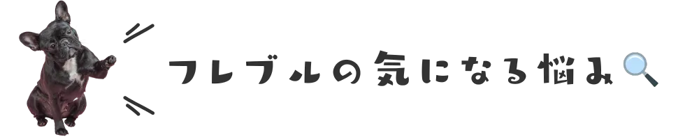 フレブルの気になる悩み