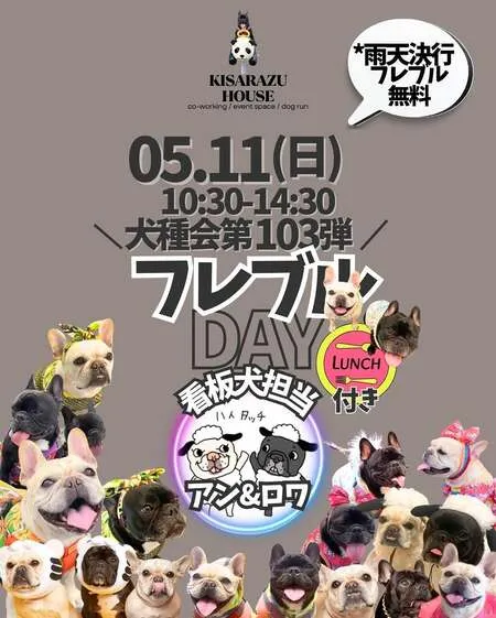 フレブルDAY