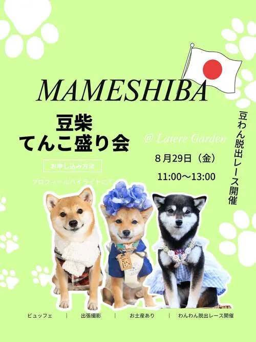 豆柴てんこ盛り会
