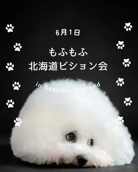 もふもふ北海道ビション会