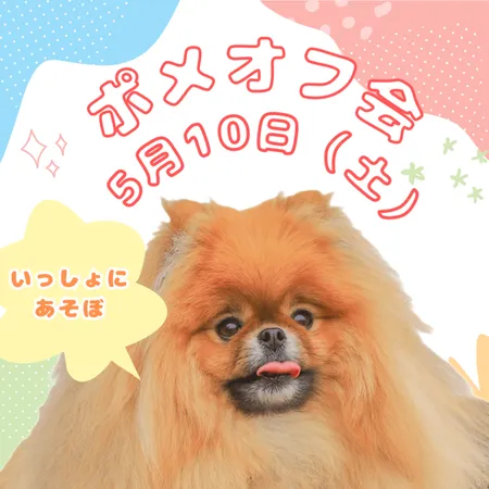 ポメオフ会