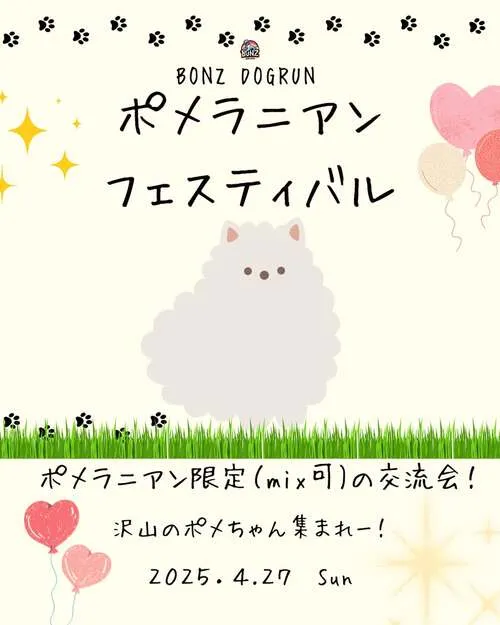 ポメラニアンフェスティバル
