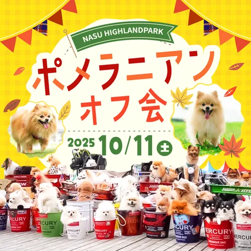 ポメラニアンオフ会