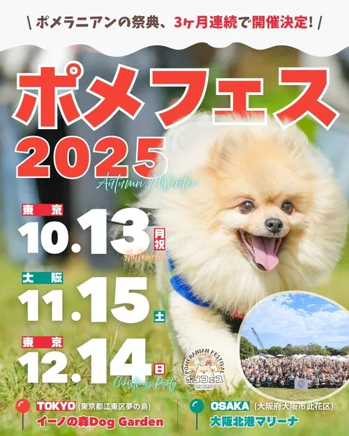 ポメラニアンフェスティバル 2025 HALLOWEEN