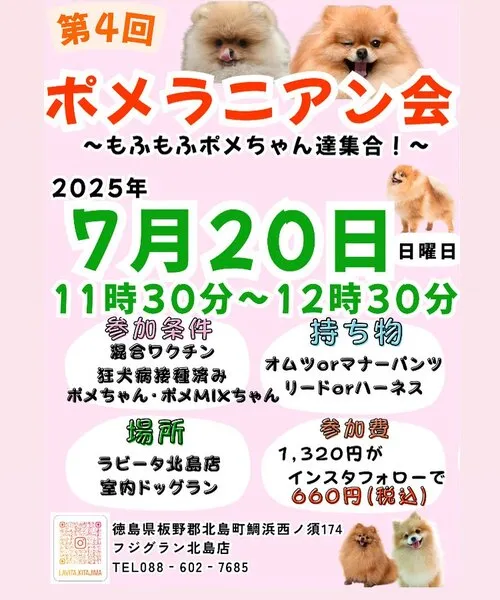 第4回 ポメラニアン会