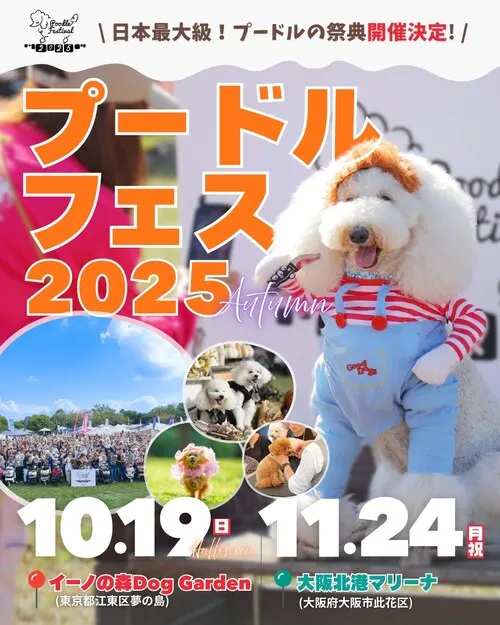 プードルフェスティバル 2025 HALLOWEEN