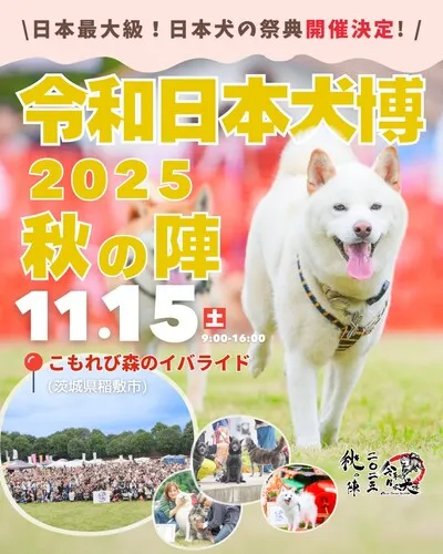 令和日本犬博 2025 秋の陣