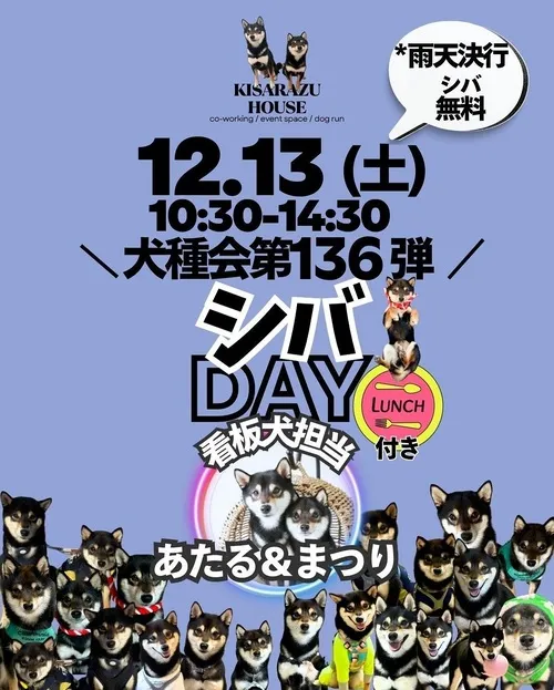シバDAY