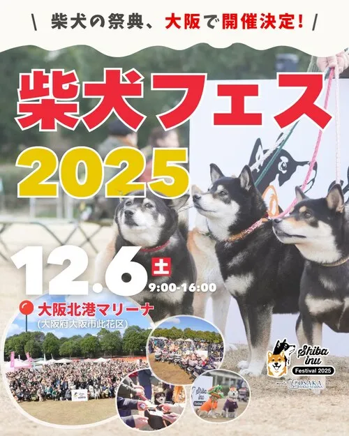 柴犬フェスティバル 2025 meets 大阪北港マリーナ