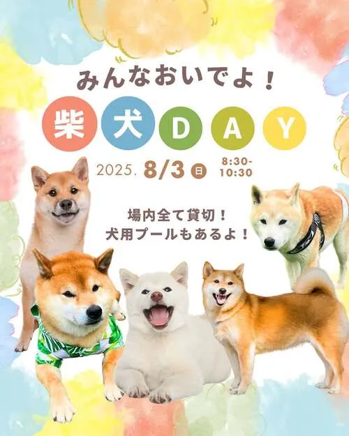 柴犬DAY